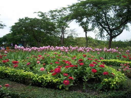 104_7432.jpg